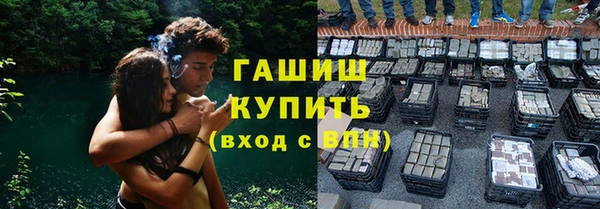 крисы Алексин